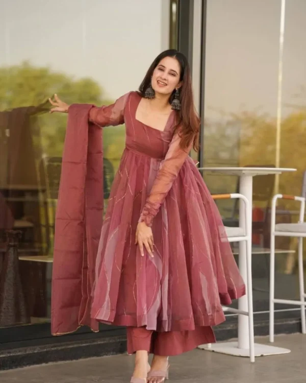 Organza Party Wear Suit Set